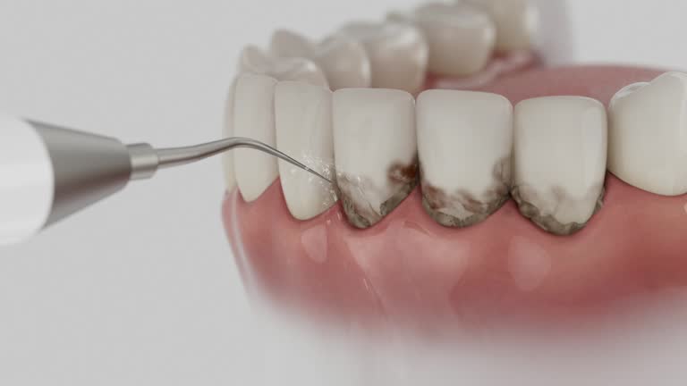 Reliable Dental contractor in Big Rapids, MI by Dentist Open Now